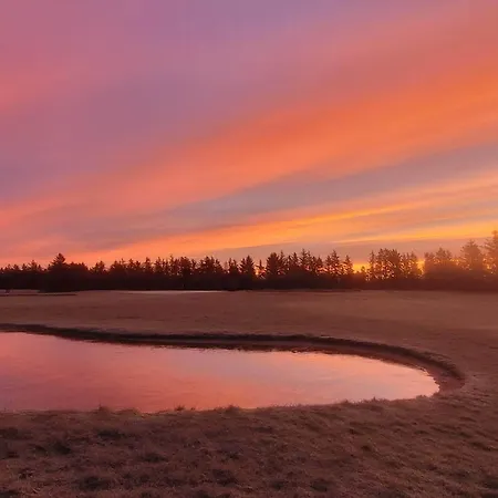 別荘 6 Person In Pandrup-by Traum