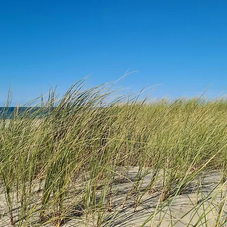 別荘 6 Person In Pandrup-by Traum *